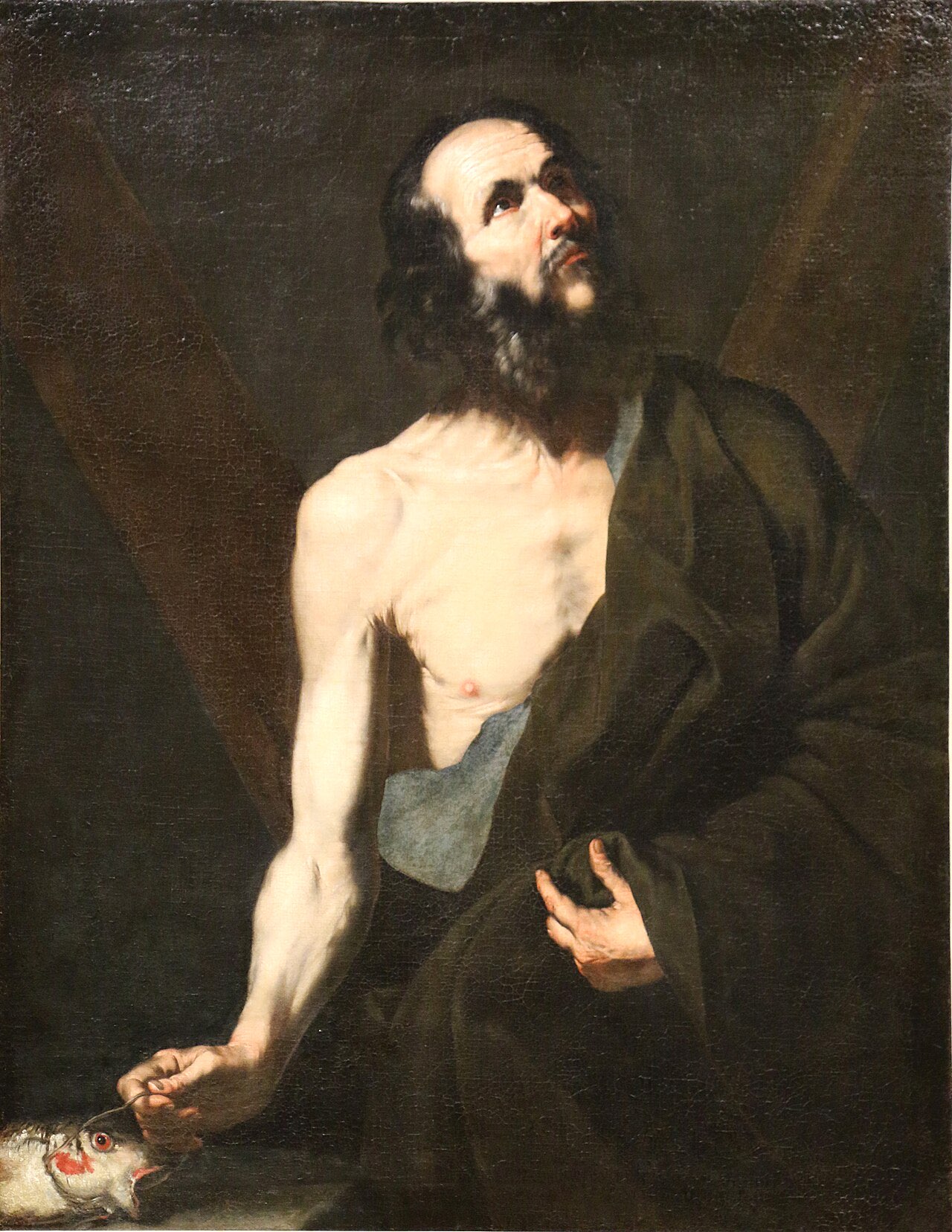 Ribera's Saint Andrew: a lean, weathered old fisherman, bare-chested with a dark cloak, gripping a fish by a line, the beams of his X-shaped cross behind him.