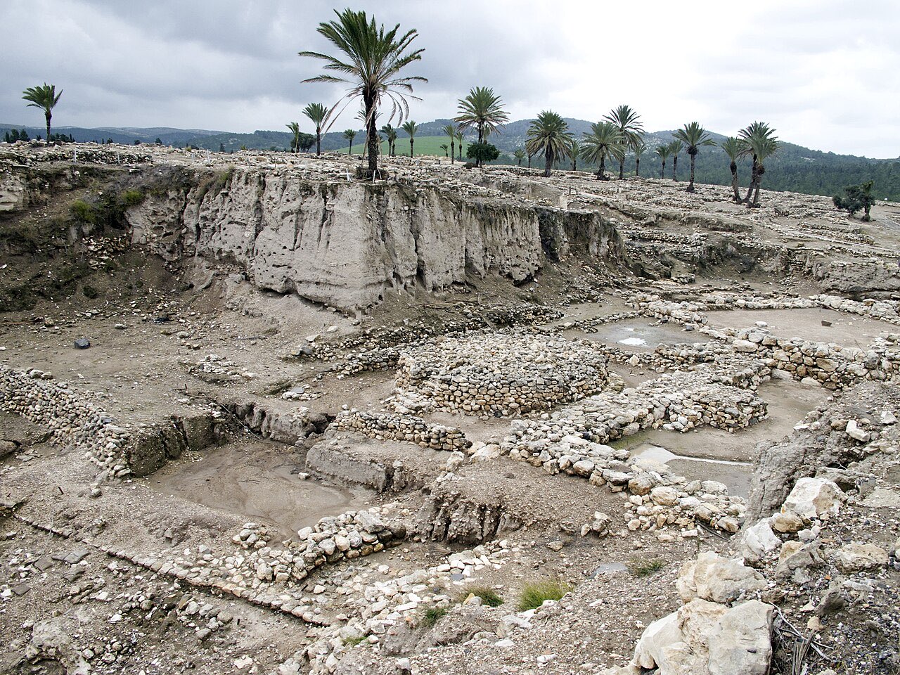 The excavated summit of Tel Megiddo: stone walls and a round Canaanite altar exposed in deep trenches, with palm trees and the Jezreel Valley beyond.