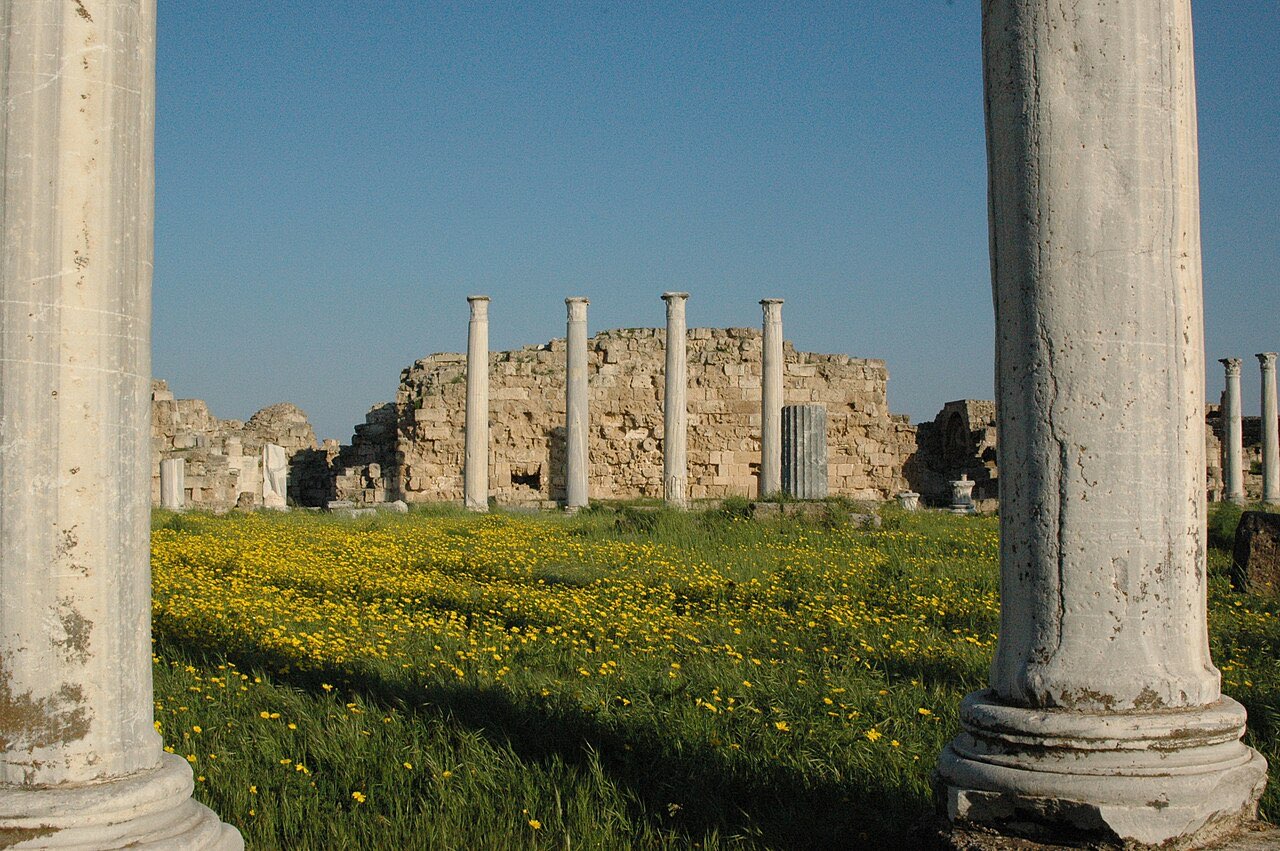 Standing Corinthian columns of the gymnasium at Salamis, Cyprus, among low ruins and wildflowers.