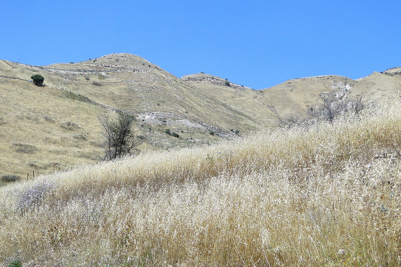 Rolling golden-brown hills of Galilee under a hazy sky, with scattered green trees and cultivated slopes.