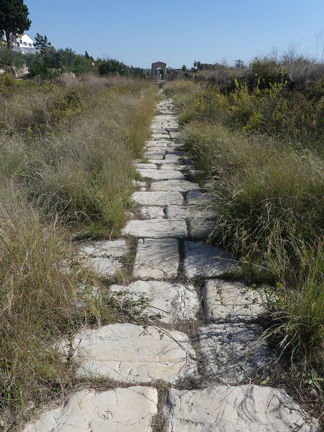 A paved Roman road at Tyre running straight through overgrown ruins toward a distant monumental arch.